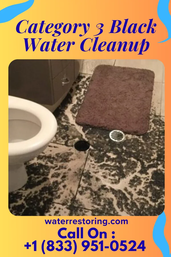 Category 3 Black Water Cleanup in Vineland, NJ