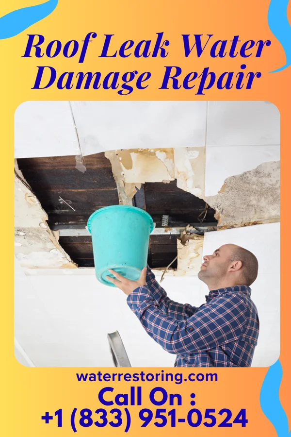 Roof Leak Water Damage Repair in Vineland, NJ