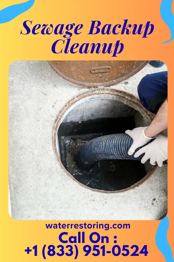 Sewage Backup Cleanup in Vineland, NJ