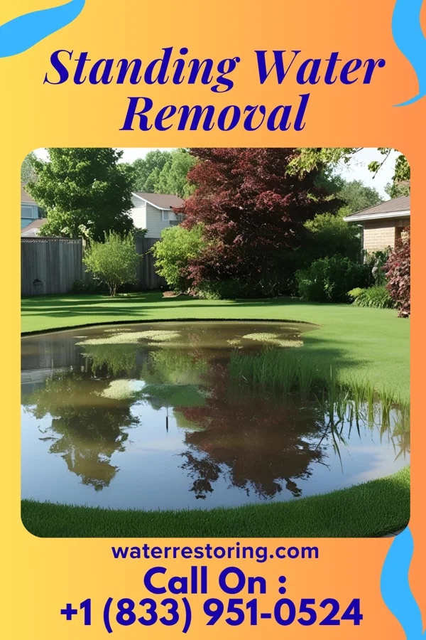 Standing Water Removal in Vineland, NJ